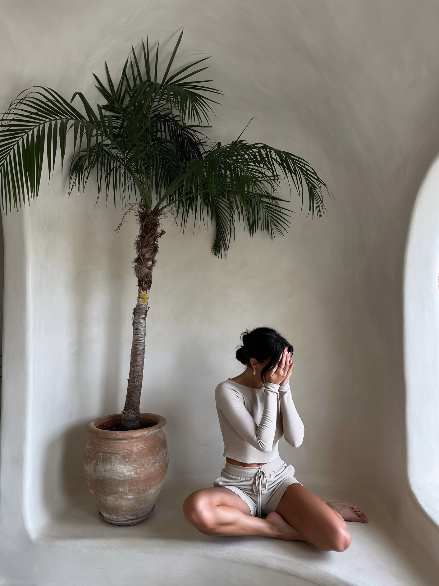Palm Pause